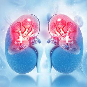 Lower pre-dialysis creatinine ups death risk in acute kidney injury