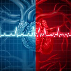 2021 EHRA practical guide on NOACs in AF: What’s new, what’s hot