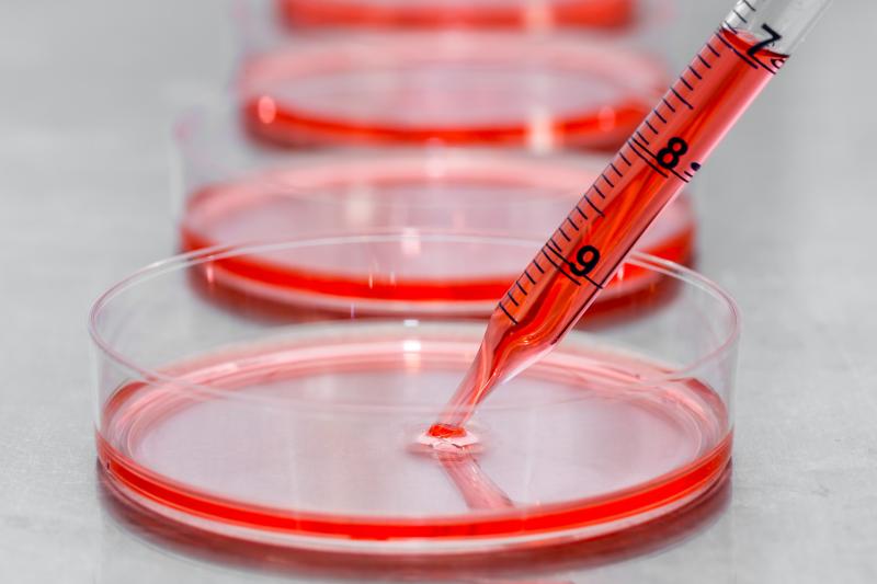 Lab-grown stem cells are bringing a lot of potential to the human and medical development.