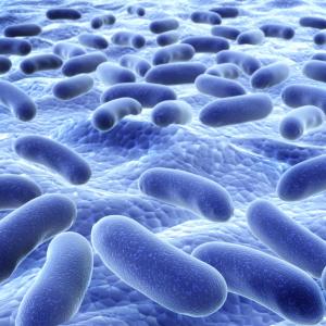 Medication disrupts human gut microbiome