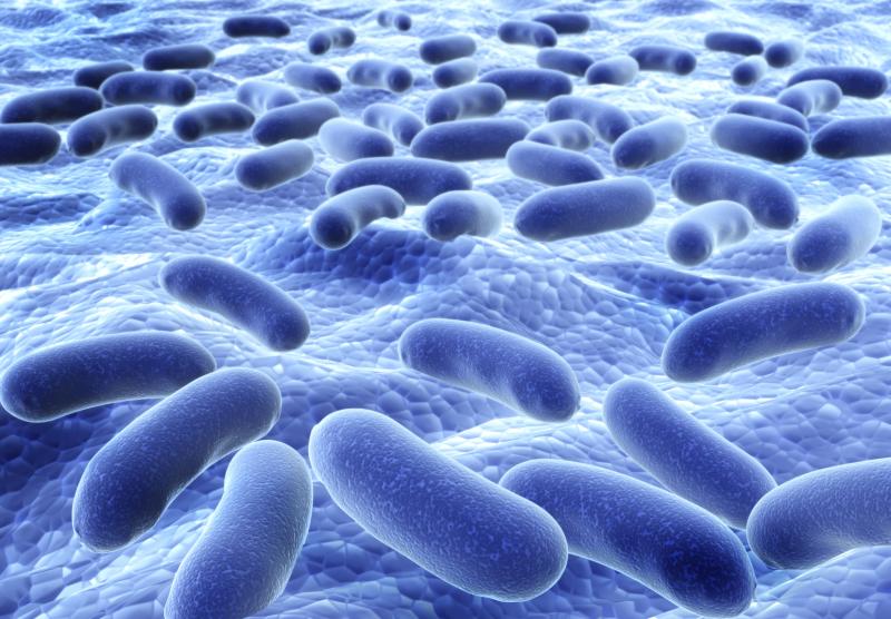 Gut microbiome, or the bacteria that populate the intestines is essential for a healthy body.