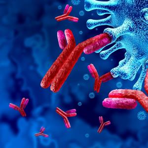 Naturally occurring COVID-19 antibodies may wane after 4 months