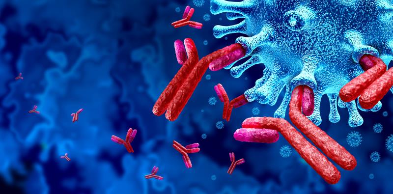 Naturally occurring COVID-19 antibodies may wane after 4 months