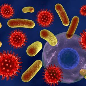 7 days of antibiotics as effective as 14 days for bloodstream infections