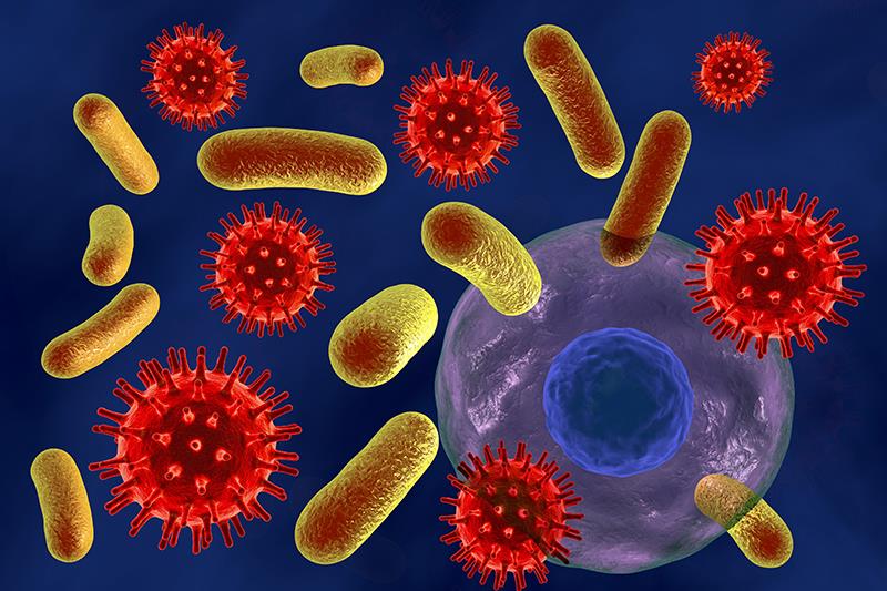 7 days of antibiotics as effective as 14 days for bloodstream infections