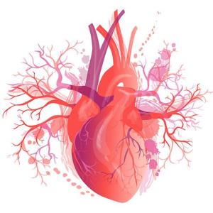 Acoramidis boosts clinical outcomes in ATTR-CM
