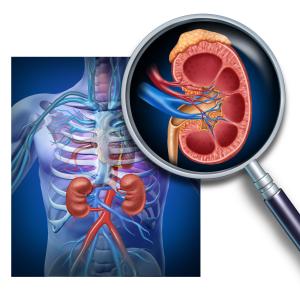 Neutrophil–lymphocyte ratio predicts survival in advanced renal cell carcinoma