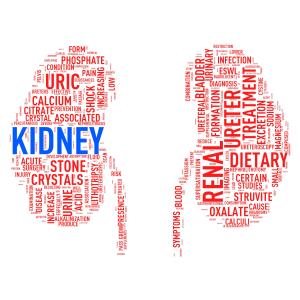 Acute kidney injury tied to poorer stroke survival, subsequent CKD development