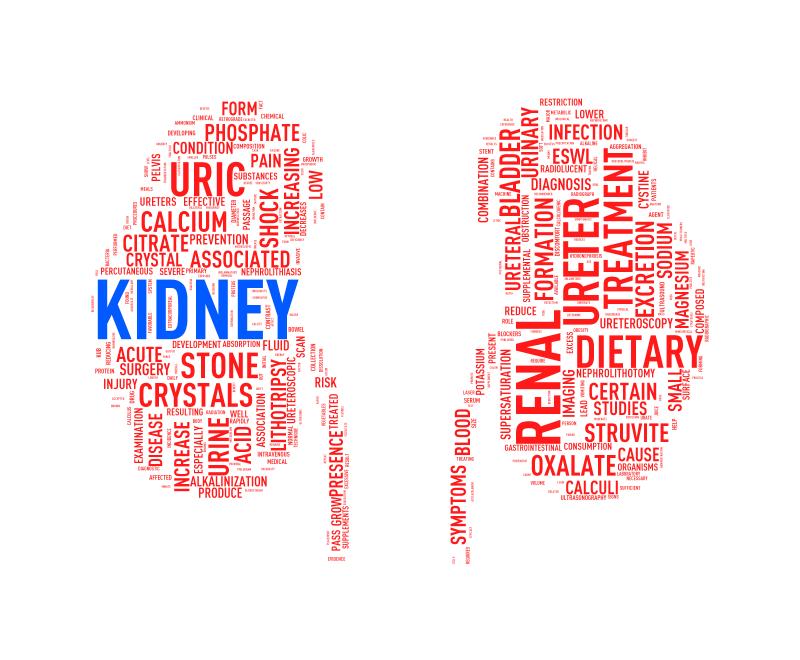 Acute kidney injury tied to poorer stroke survival, subsequent CKD development