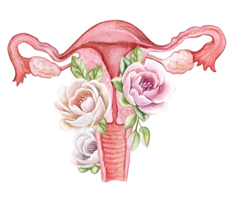 Induction chemo followed by chemoradiotherapy bumps up survival in advanced cervical cancer