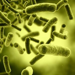 Prompt therapy a must to reduce mortality in severe bacterial infection patients