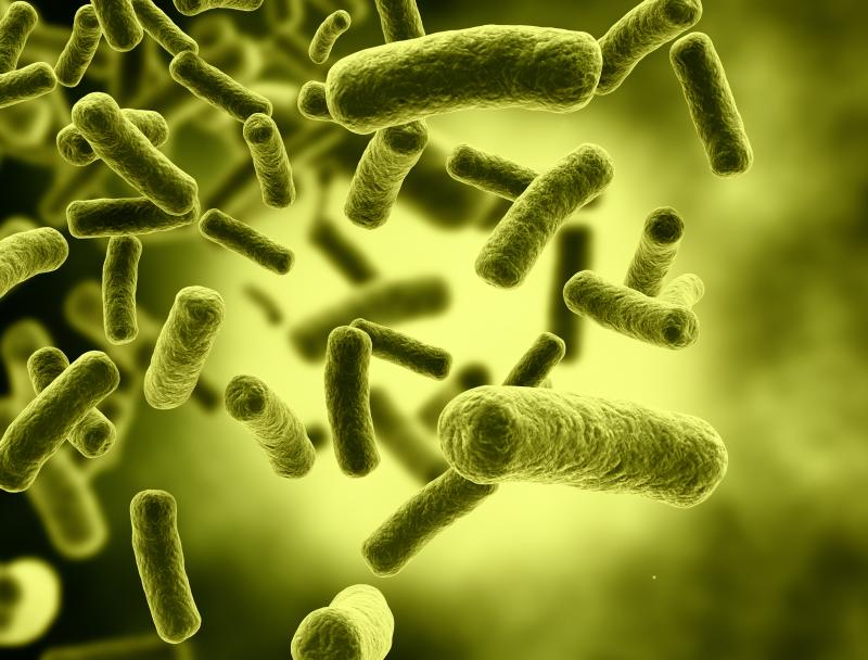 Prompt therapy a must to reduce mortality in severe bacterial infection patients