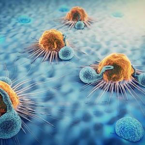 Adjuvant pembrolizumab holds promise in bladder cancer