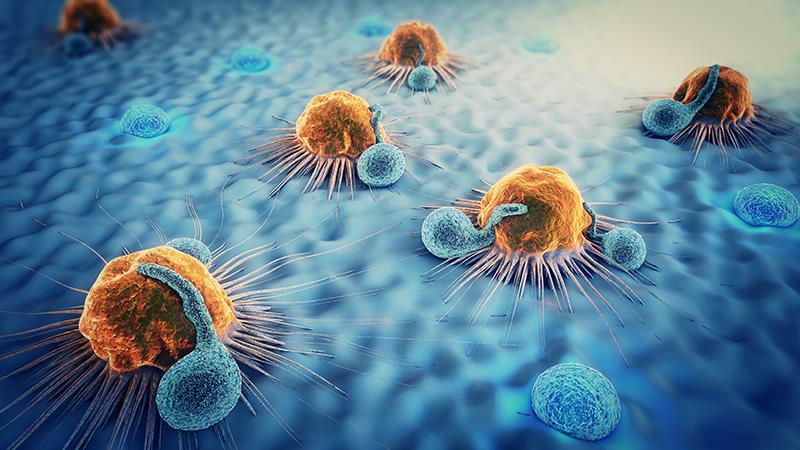 Adjuvant pembrolizumab holds promise in bladder cancer