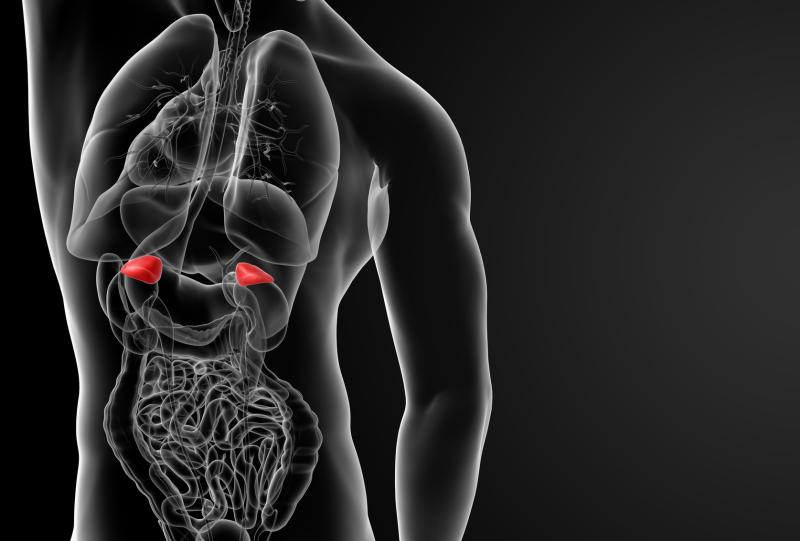 Arterial stiffness tied to clinical outcome, cardiorenal Injury in lateralized primary aldosteronism