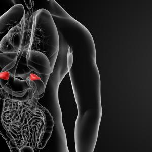 Arterial stiffness tied to cardiorenal Injury in lateralized primary aldosteronism