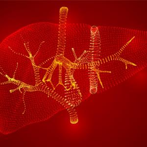 Prior ultrasonography findings tied to cholangiocarcinoma diagnosis