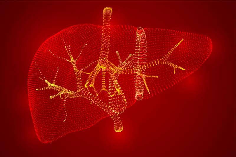 Prior ultrasonography findings tied to cholangiocarcinoma diagnosis