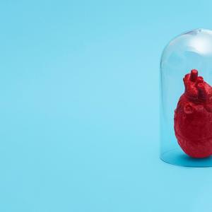 Mavacamten obviates long-term need for invasive septal reduction therapy in obstructive HCM