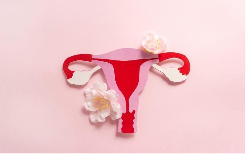 Another Win of E4: Estetrol (E4) combined with DRSP shows promising results in endometriosis-associated pain
