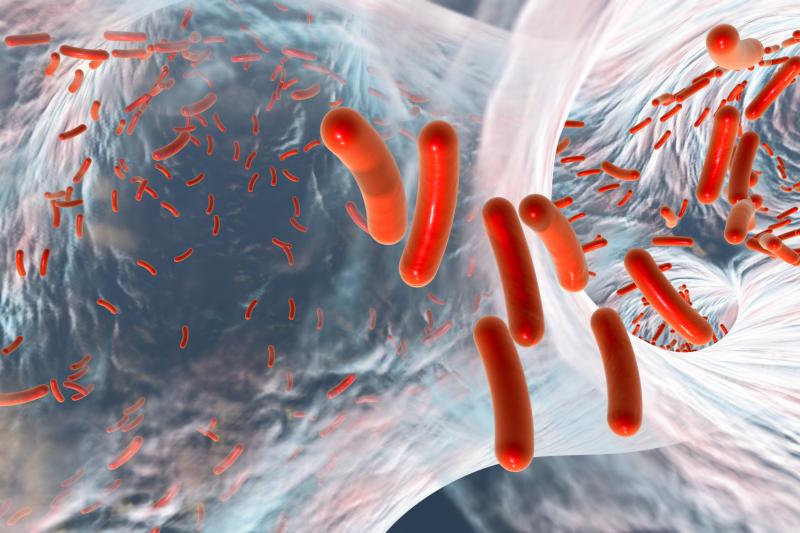 Antibiotics impair the health by altering the natural bacteria composition in the body, according to new research.