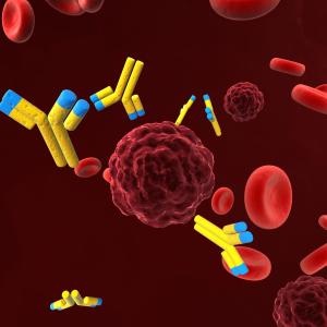 Antibacterial antibodies suppressed among MM patients