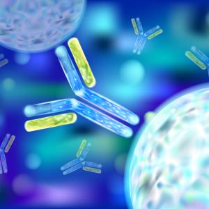 Antibodies work against COVID-19 D614G variant