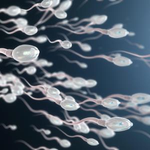 Antioxidant and micronutrient supplementation on the sperm parameters of male patients with idiopathic infertility: An update