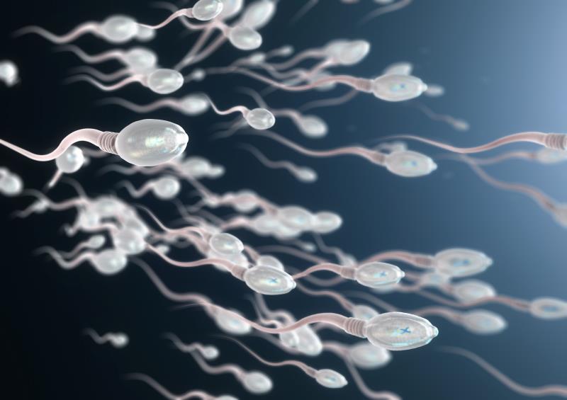 Antioxidant and micronutrient supplementation on the sperm parameters of male patients with idiopathic infertility: An update