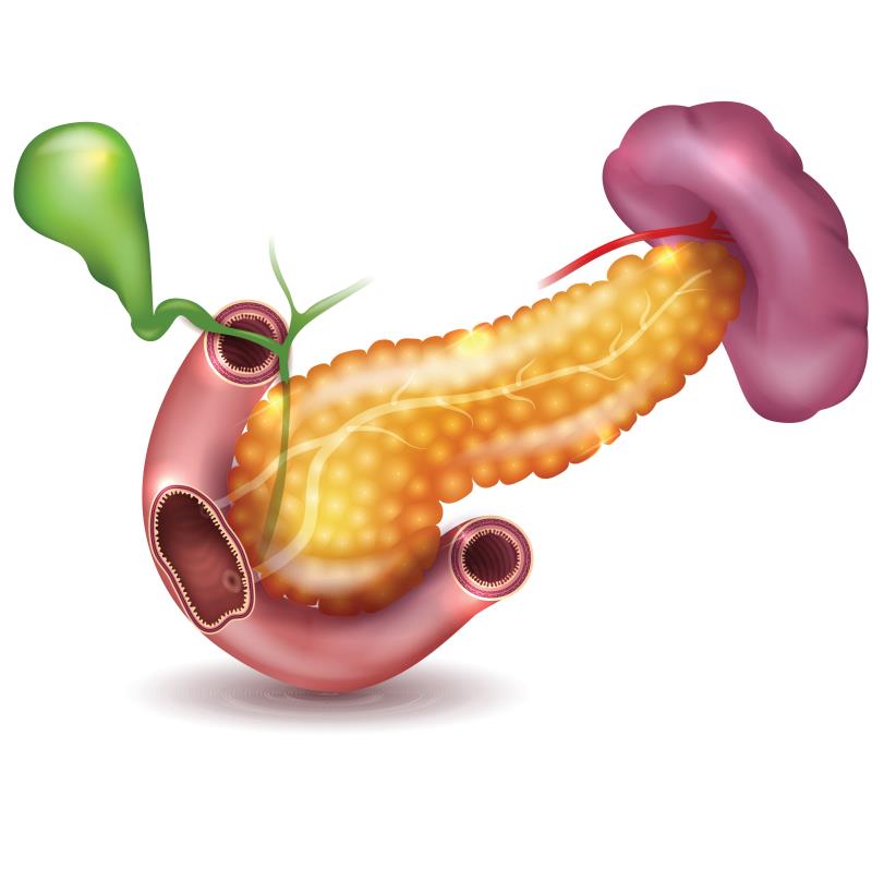 Oral n-acetyl cysteine may prevent post-ERCP acute pancreatitis