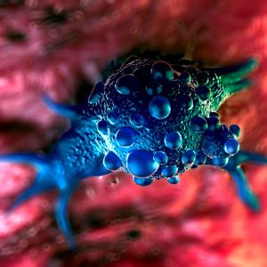 Avelumab continues to show promise for bladder cancer