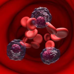 Acalabrutinib-venetoclax hits mark for fit TN CLL patients