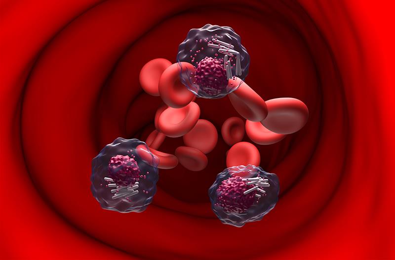 Acalabrutinib-venetoclax hits mark for fit TN CLL patients