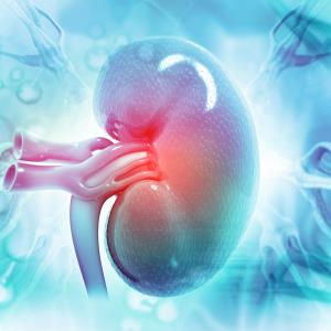 Post hoc data boost voclosporin efficacy for severe lupus nephritis