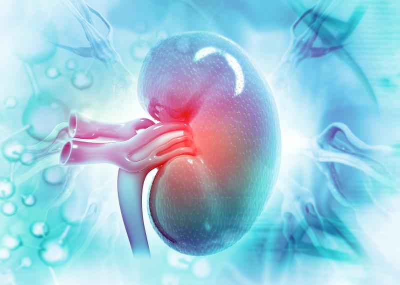 Post hoc data boost voclosporin efficacy for severe lupus nephritis