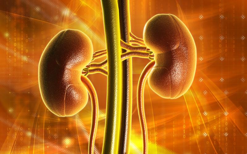 Continuous, nonconventional sunitinib dosing viable in metastatic renal cell carcinoma