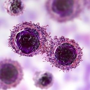 Targeting EFHD2 may help cure nonalcoholic steatohepatitis