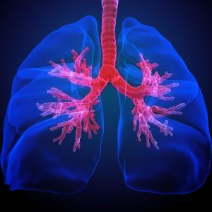 Azithromycin eases RV-induced airway inflammation in lung allograft recipients