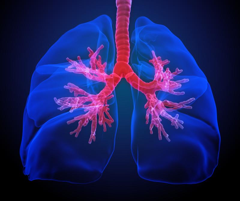 Azithromycin eases RV-induced airway inflammation in lung allograft recipients