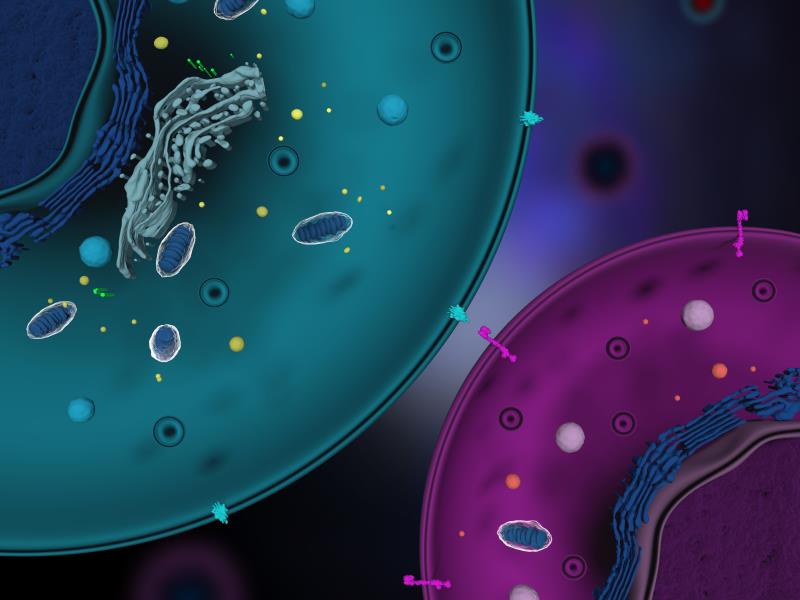 Advancing into the era of CAR T-cell therapies: Tisagenlecleucel in the treatment of B-cell acute lymphoblastic leukaemia and