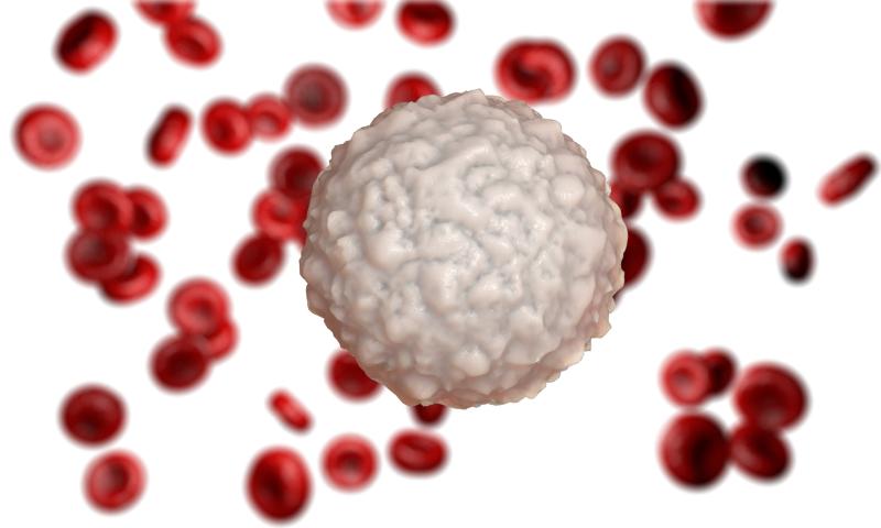 The hidden warrior in our body: White blood cells