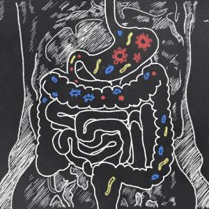 5-strain probiotic blend improves functional gastrointestinal symptoms