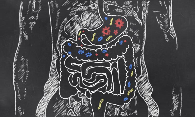 5-strain probiotic blend improves functional gastrointestinal symptoms