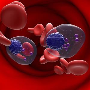 Belamaf plus pomalidomide/dexamethasone improves PFS in relapsed multiple myeloma