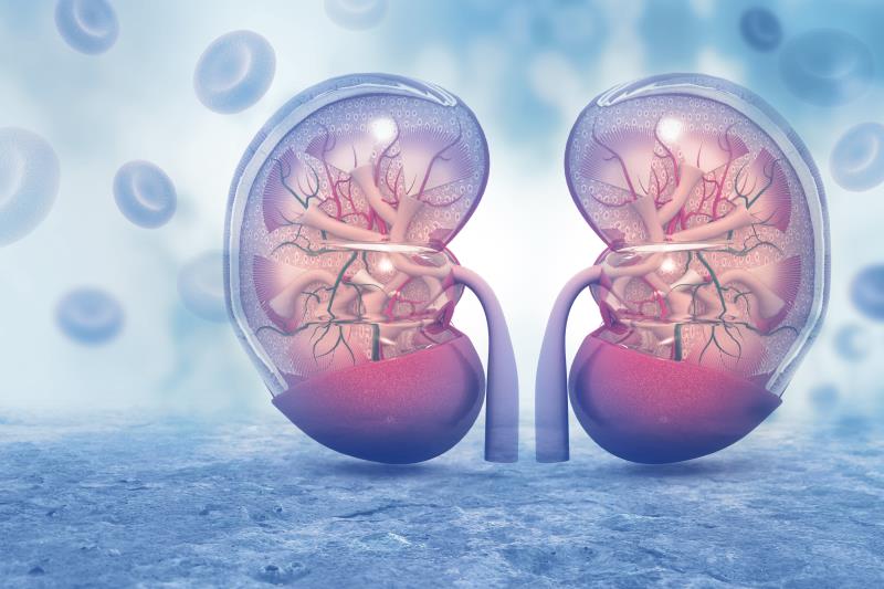 Belimumab improves renal response in lupus nephritis