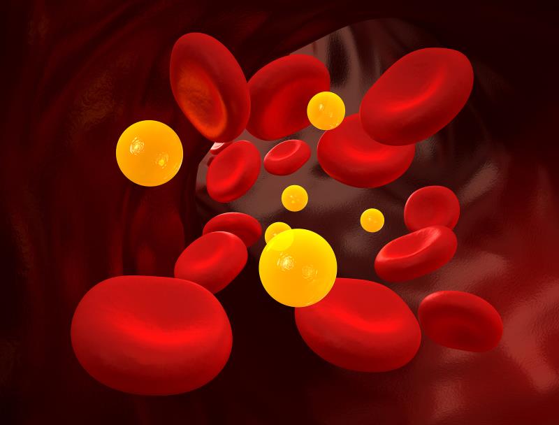 Plasma xanthine oxidoreductase tied to liver transaminase level in T2DM patients