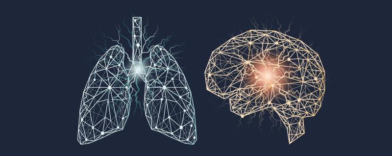 Bevacizumab + EGFR-TKI improves OS in EGFR-mutated NSCLC with leptomeningeal metastases