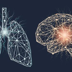 Bevacizumab + EGFR-TKI improves OS in EGFR-mutated NSCLC with leptomeningeal metastases