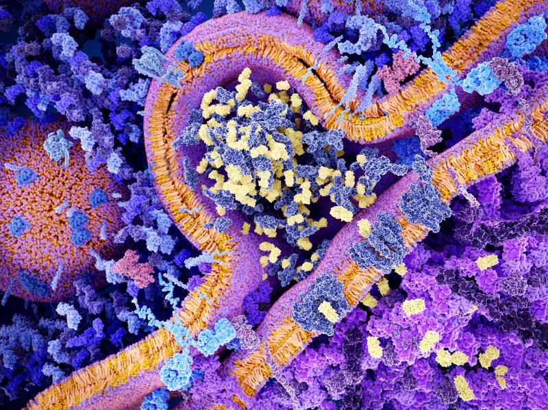 Inflammatory biomarkers may pinpoint people at high-risk of psychiatric disorders
