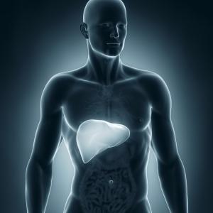 Repeat FIB-4 tests boosts predictive ability for severe liver disease